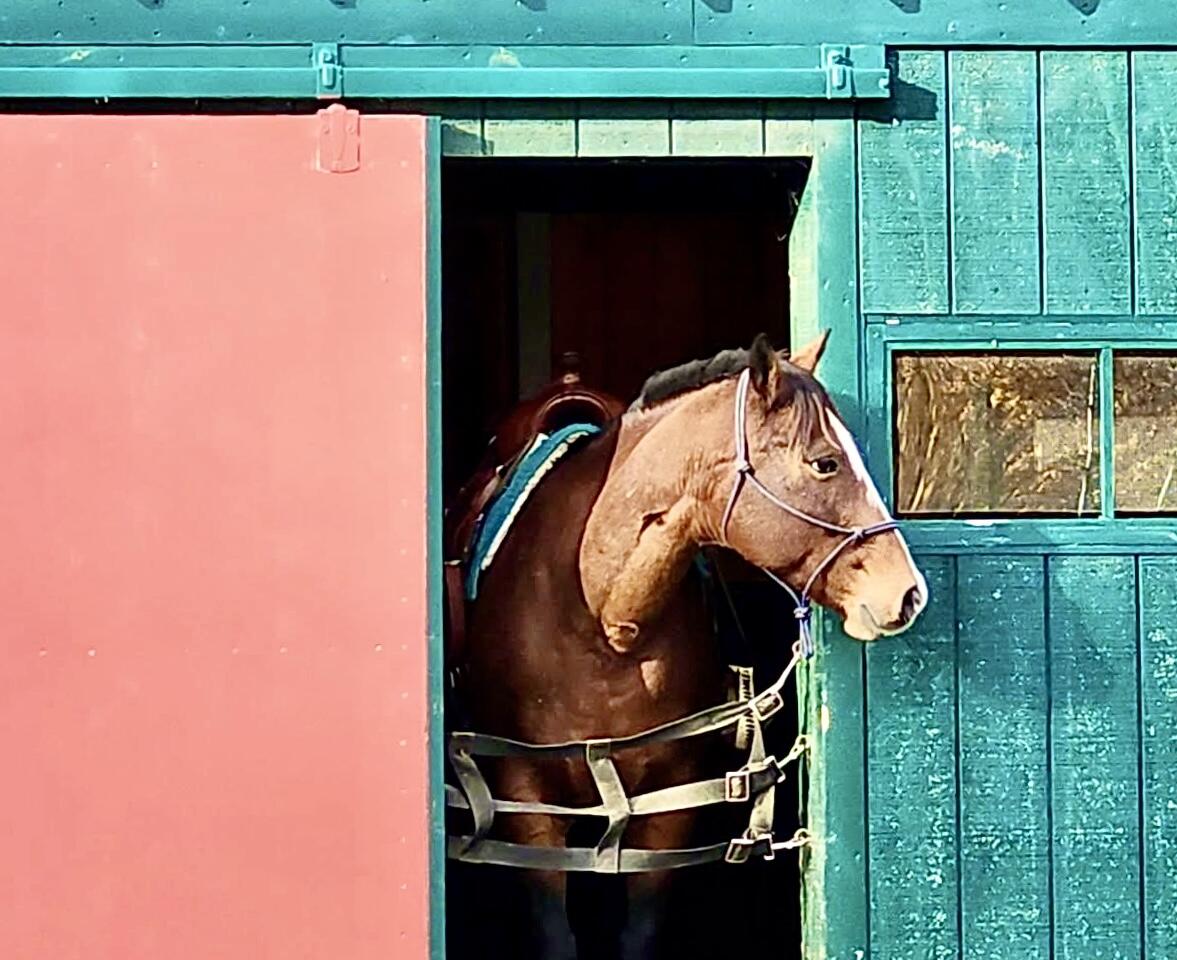 186 Garland Line Road Dover-foxcroft ME 04426