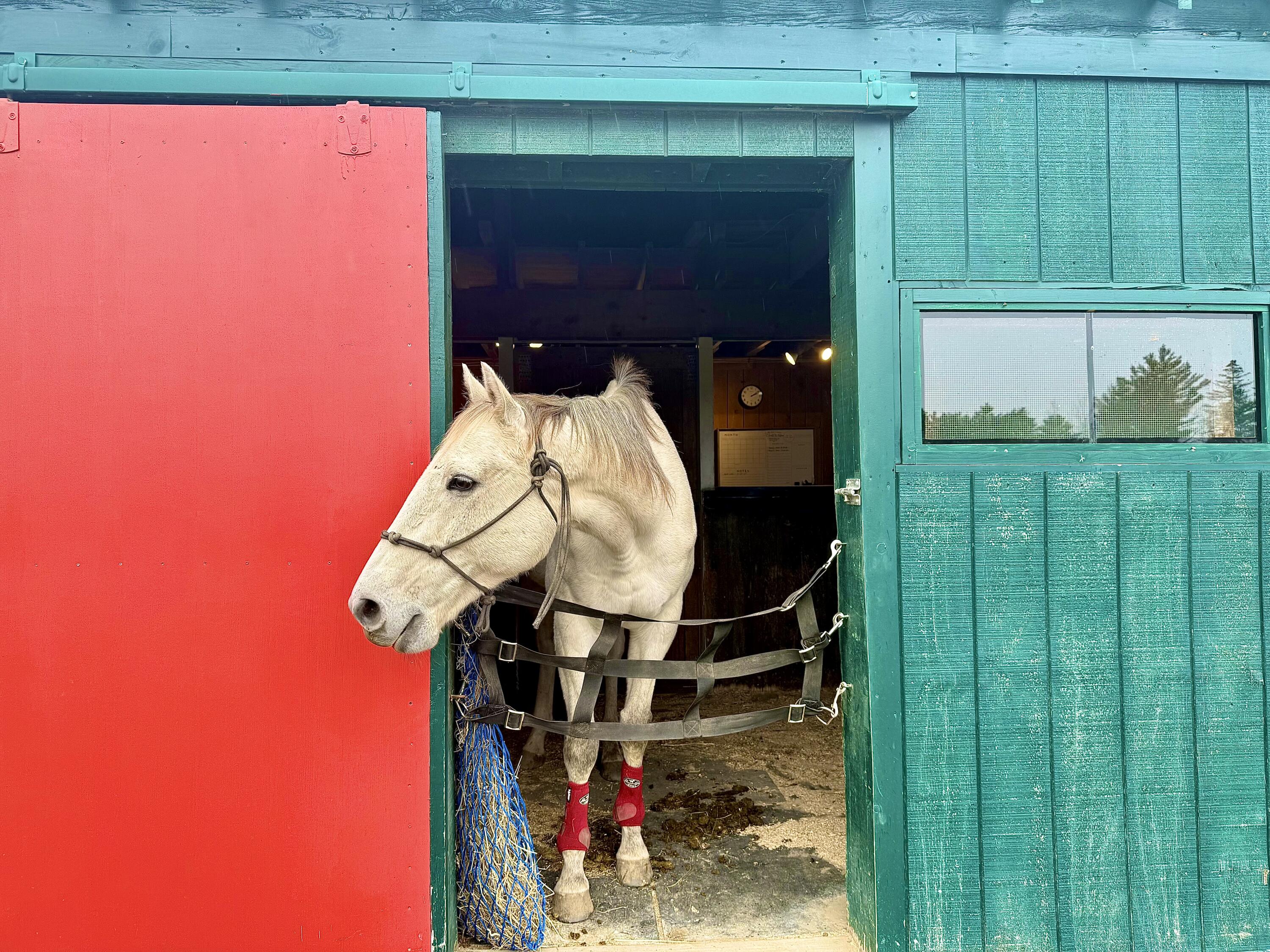 186 Garland Line Road Dover-foxcroft ME 04426