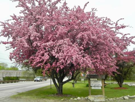 382 Water Street Guilford ME 04443