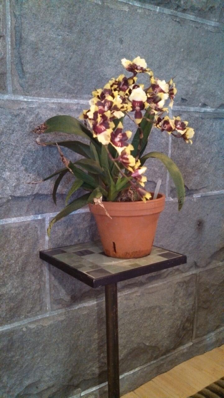 546 Main Street Rockland ME 04841