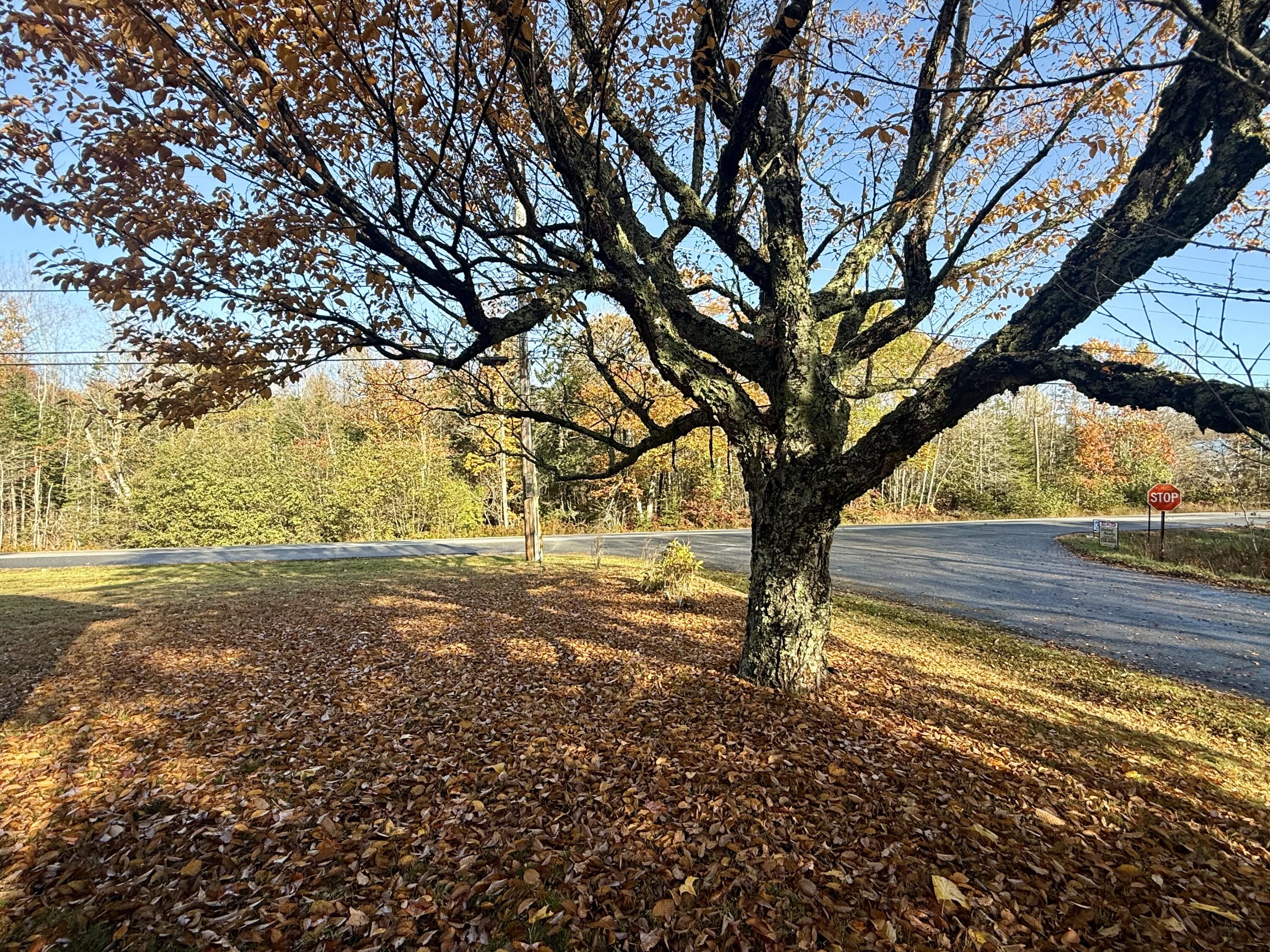 271 U.s Route 1 Stockton Springs ME 04981