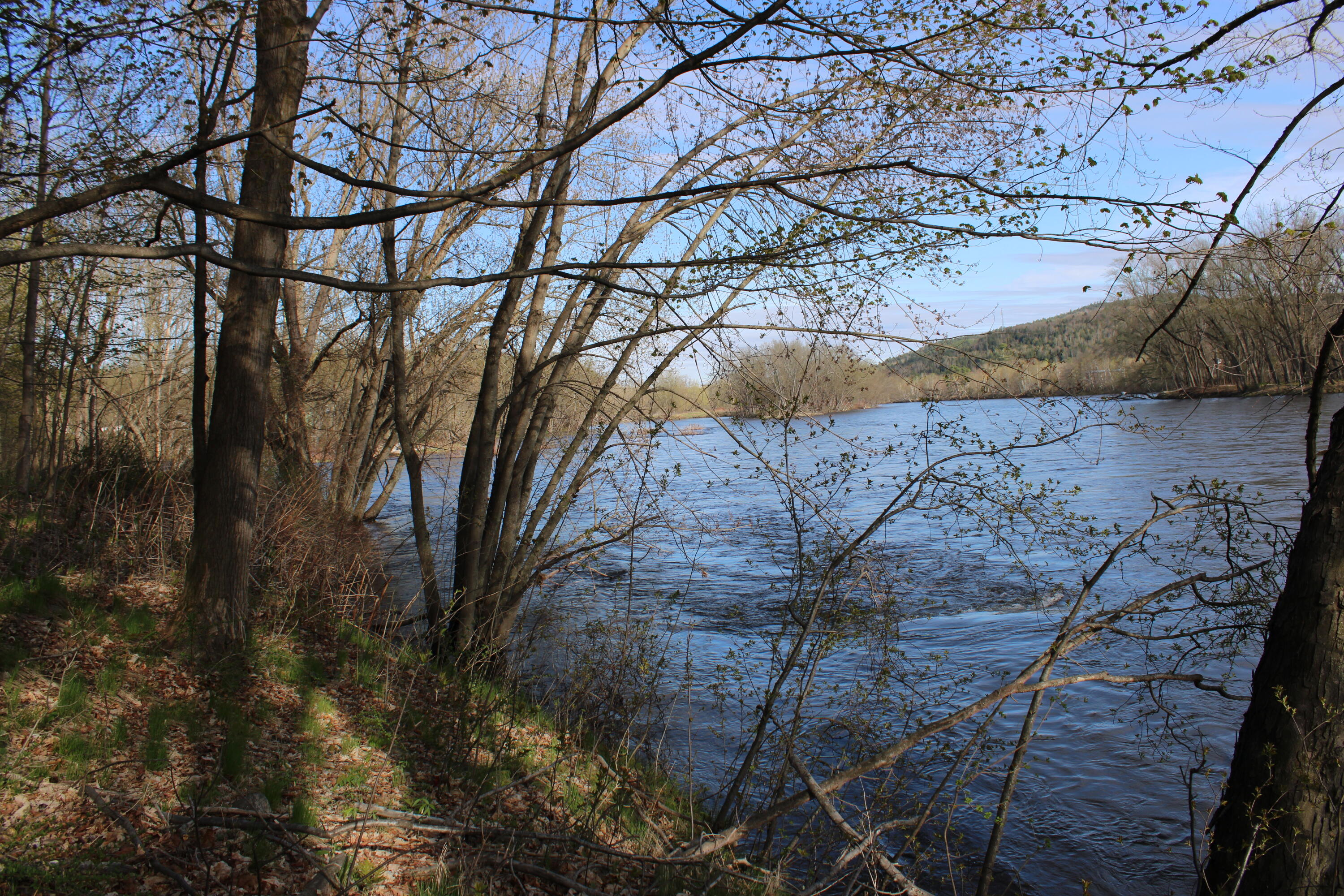 856 River Road Mexico ME 04257