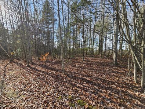 M5, L87-1 Main Street Palmyra ME 04965