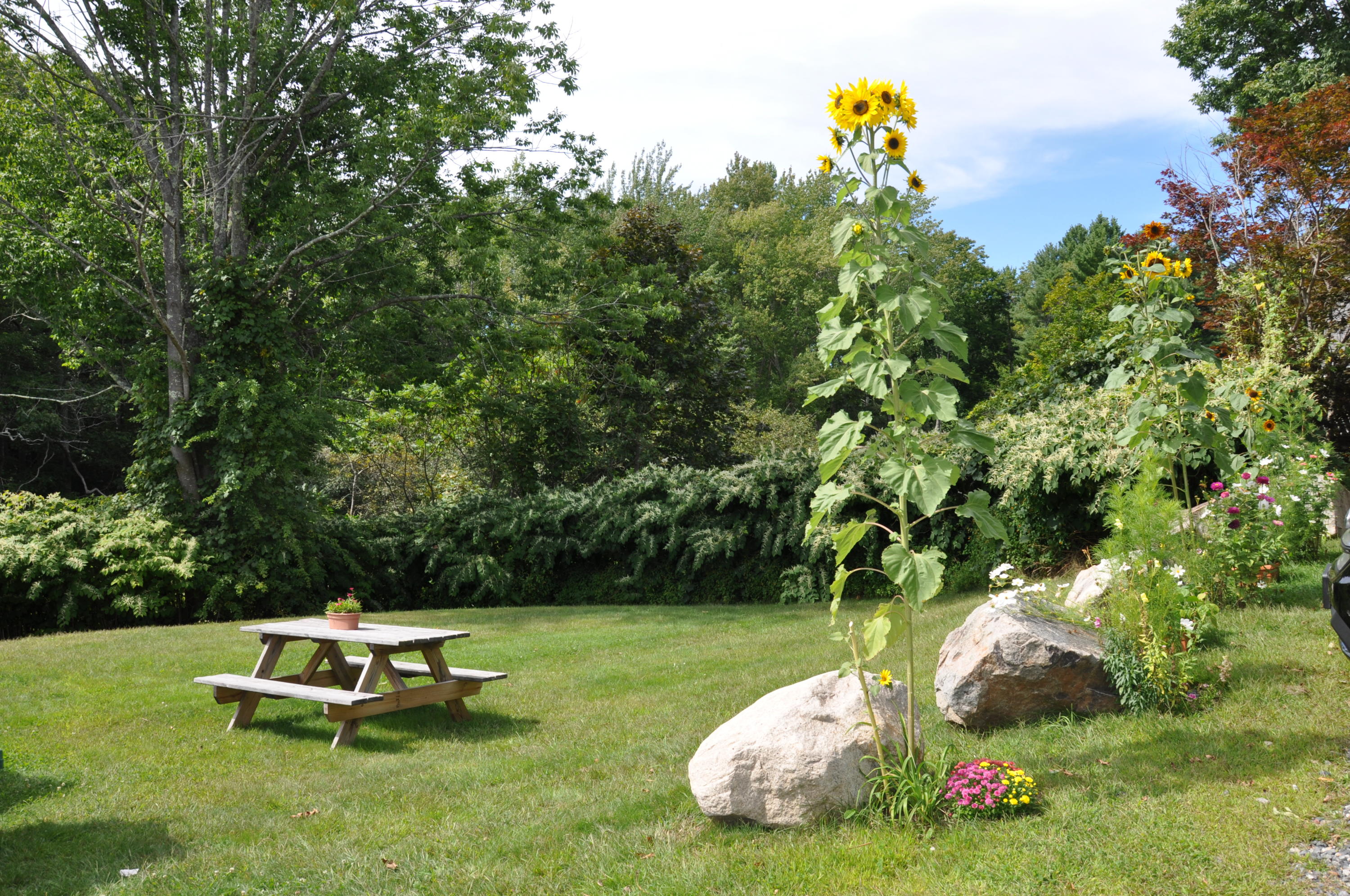 1294 Us Route 1 York ME 03902