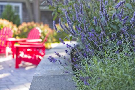 72 Elm Street Camden ME 04843