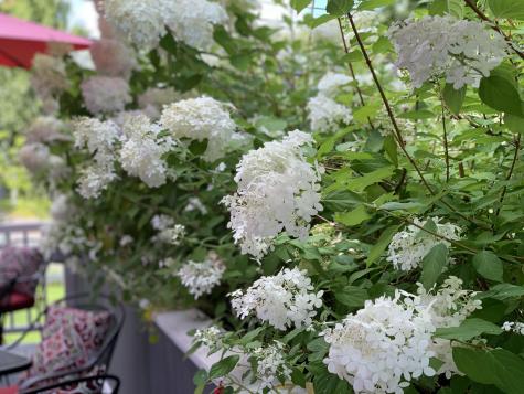 72 Elm Street Camden ME 04843