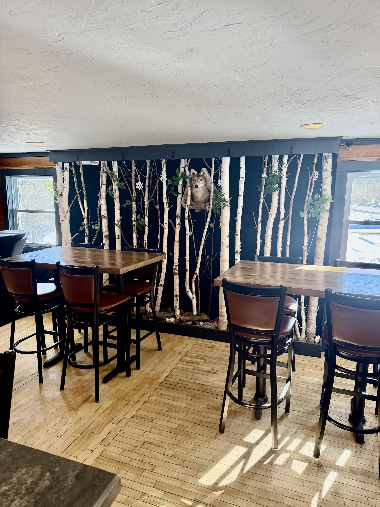 1149 Shin Pond Road Mount Chase ME 04765