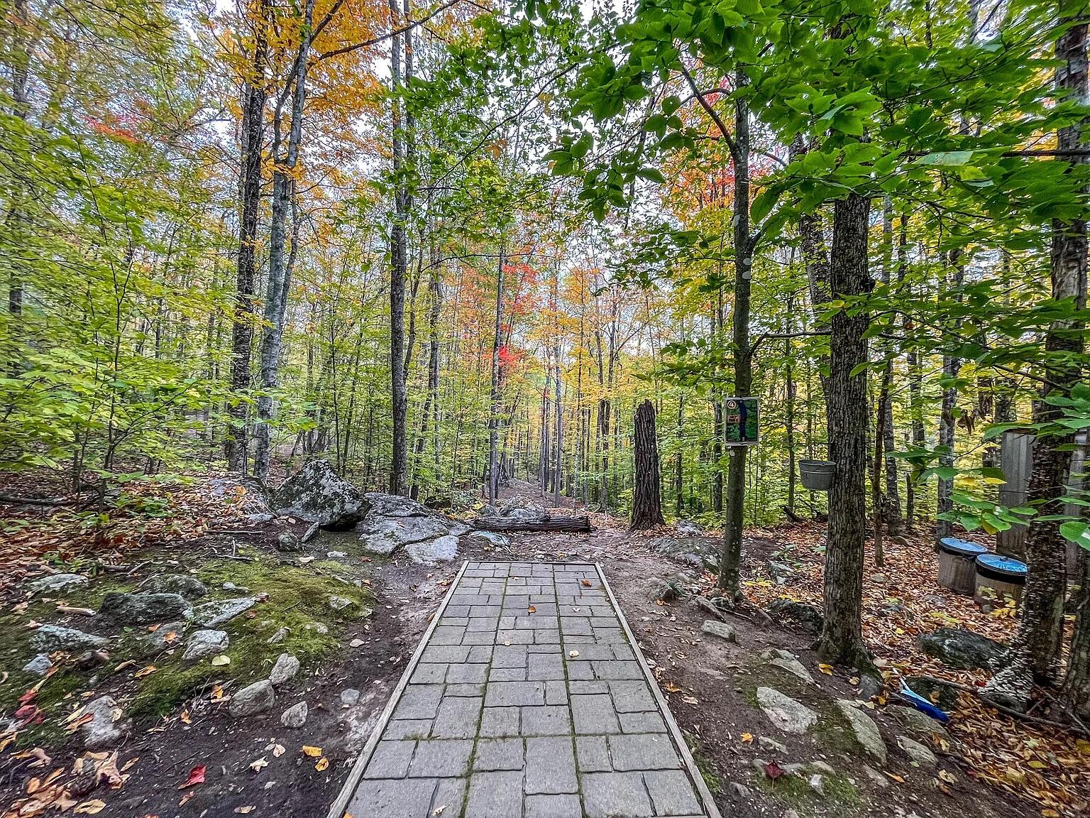 859 Maine Street Stoneham ME 04231