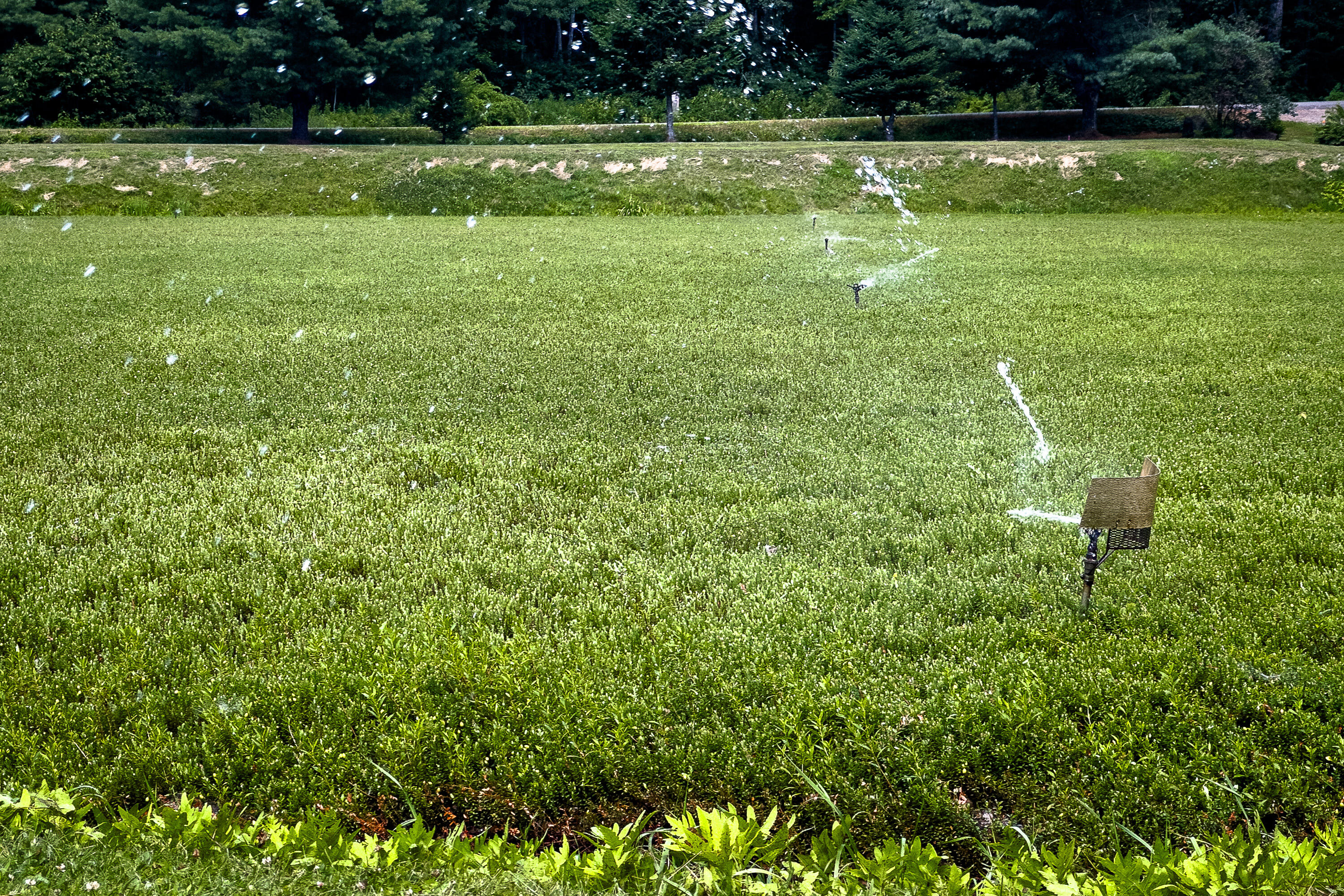 000 Heal Road Lincolnville ME 04849