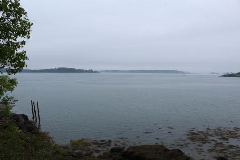 24 Harris Point Road Eastport ME 04631