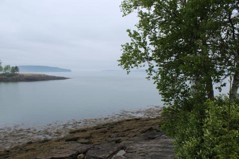 24 Harris Point Road Eastport ME 04631