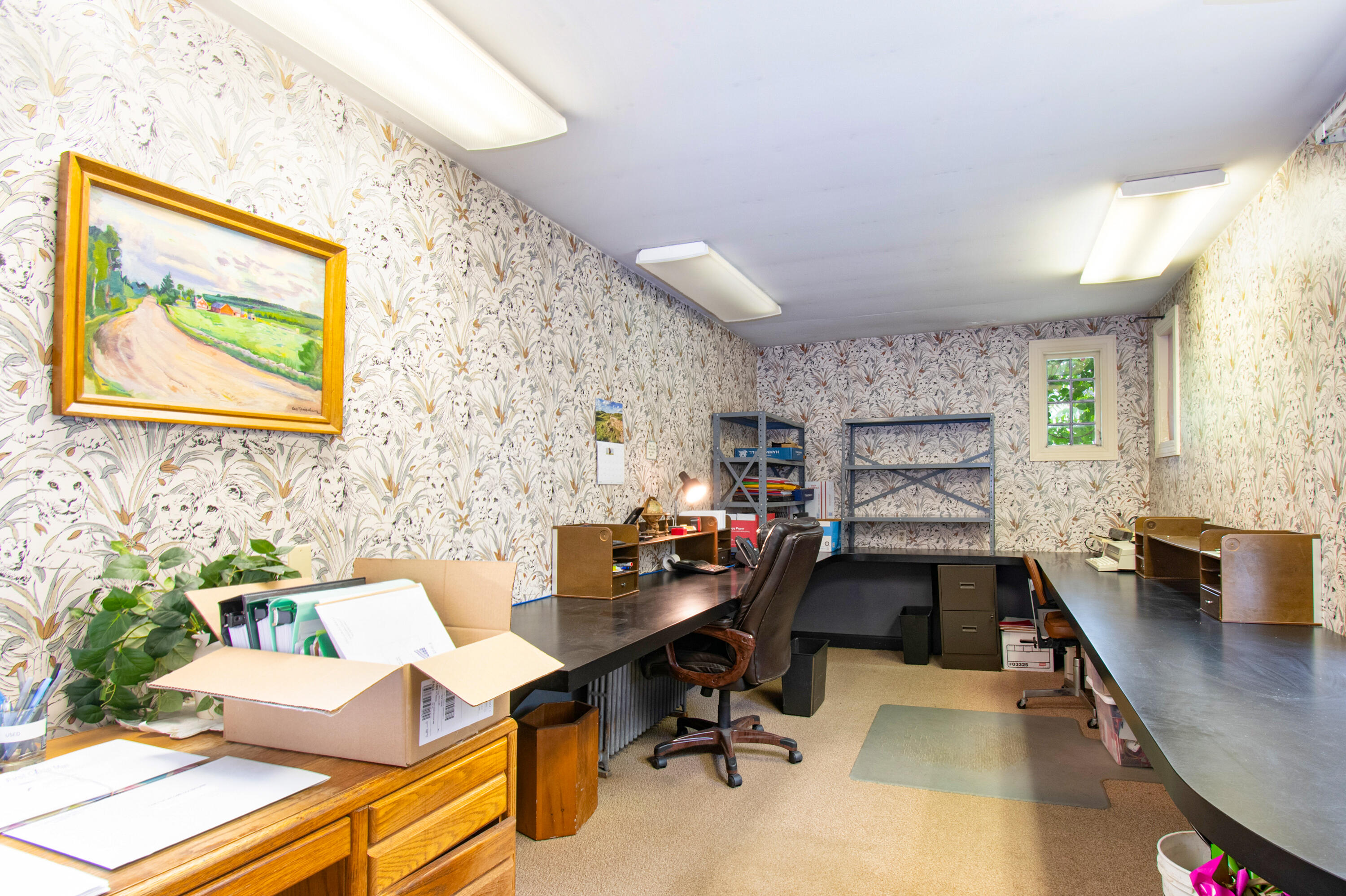 163 Park Row Brunswick ME 04011