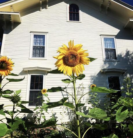 10 Church Street Stockton Springs ME 04981