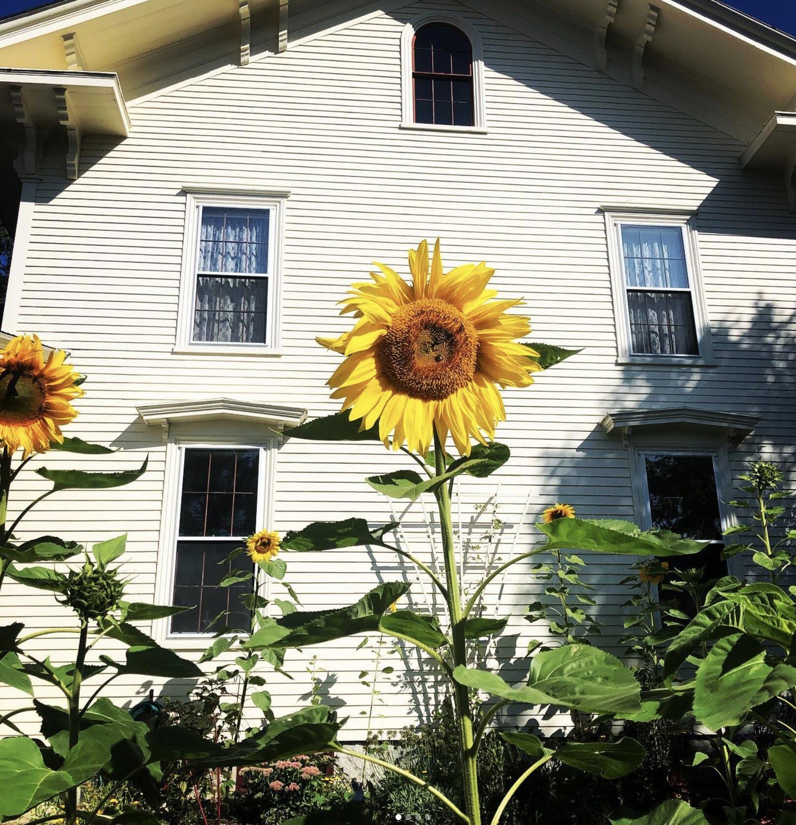 10 Church Street Stockton Springs ME 04981