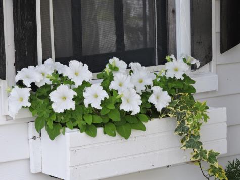 1147 Bar Harbor Road Trenton ME 04605