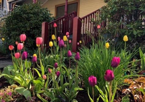 16 Roberts Avenue Bar Harbor ME 04609