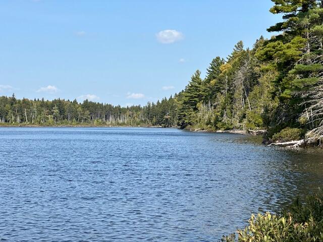626 Aroostook Scenic Highway Moro Plt ME 04780