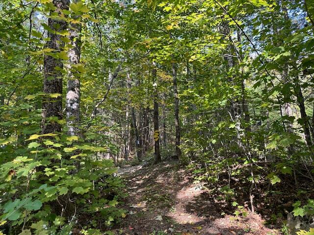 626 Aroostook Scenic Highway Moro Plt ME 04780
