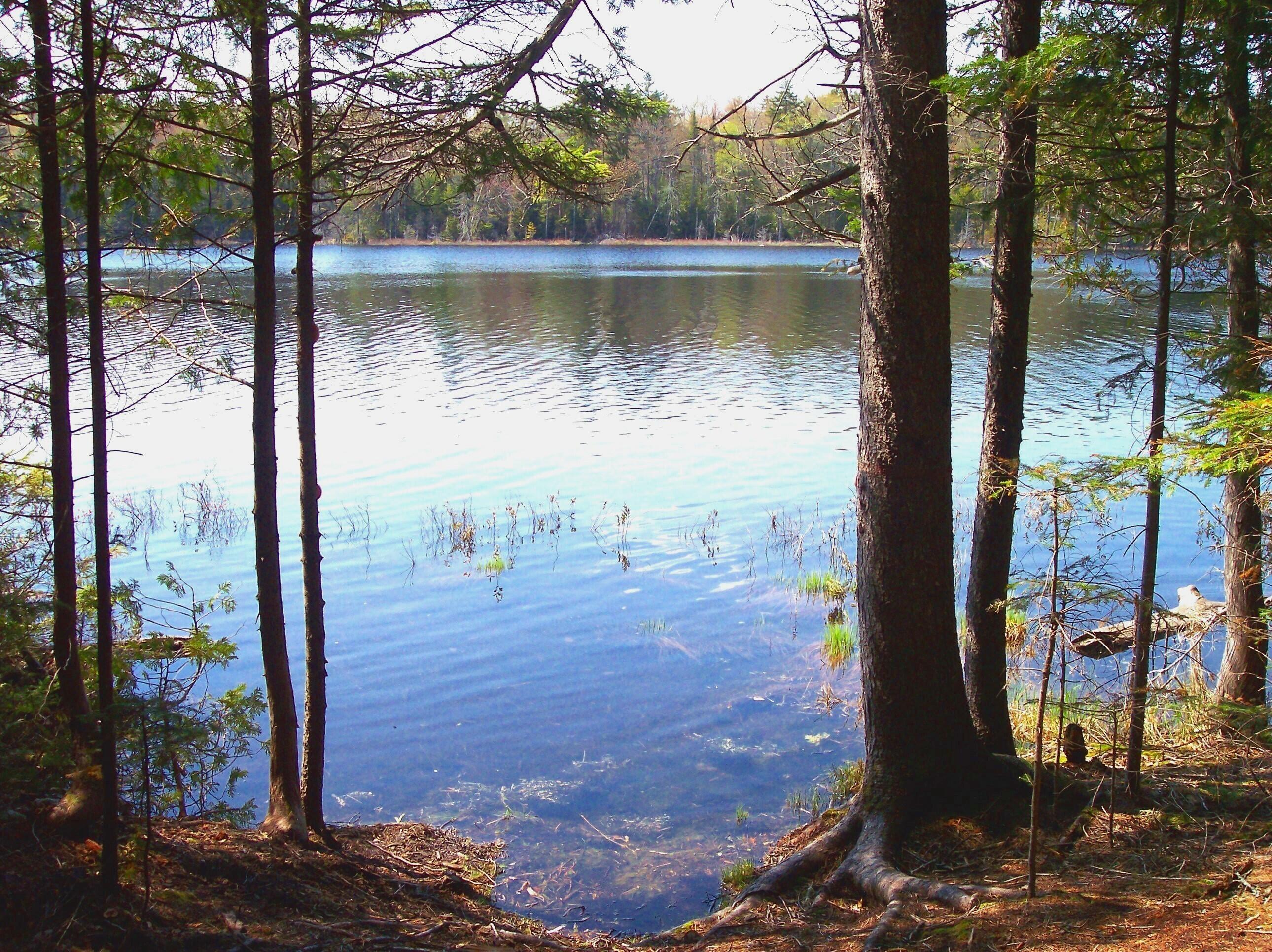 626 Aroostook Scenic Highway Moro Plt ME 04780