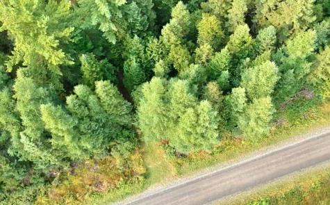 54 St John Road Fort Kent ME 04743