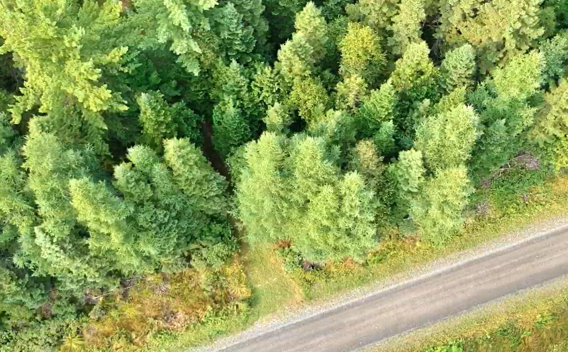 54 St John Road Fort Kent ME 04743