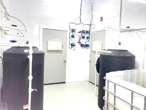 178 Creamery Hill Road Lebanon ME 04027