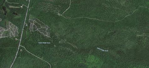 MAP10LOT27 Blackswoods Road Franklin ME 04634