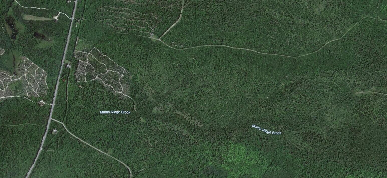 MAP10LOT27 Blackswoods Road Franklin ME 04634