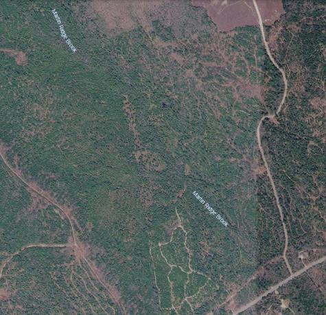 MAP10LOT27 Blackswoods Road Franklin ME 04634