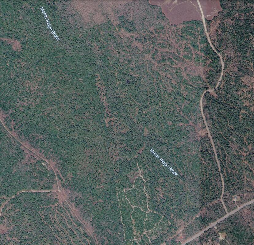 MAP10LOT27 Blackswoods Road Franklin ME 04634