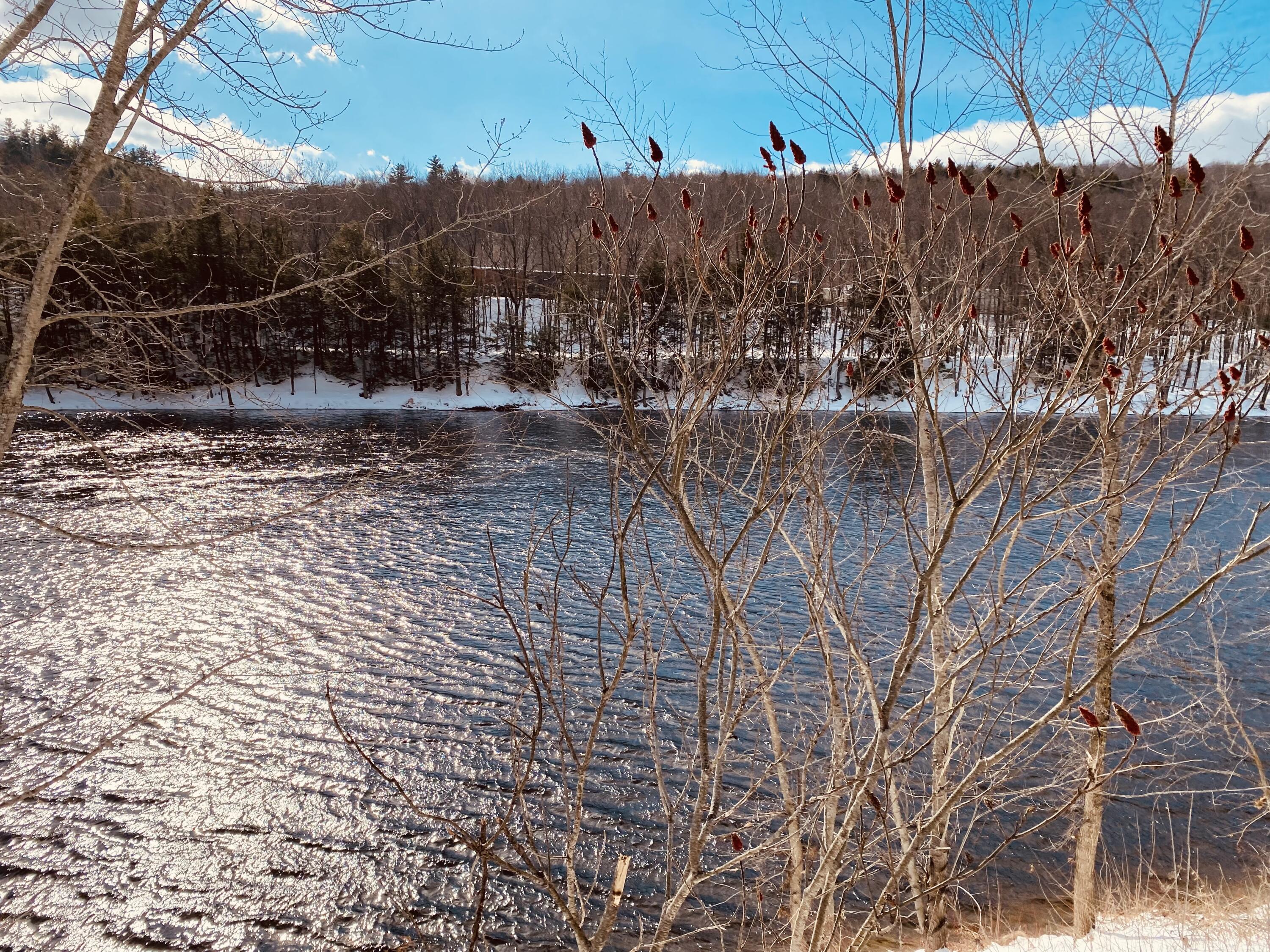 152 River Road Mexico ME 04257