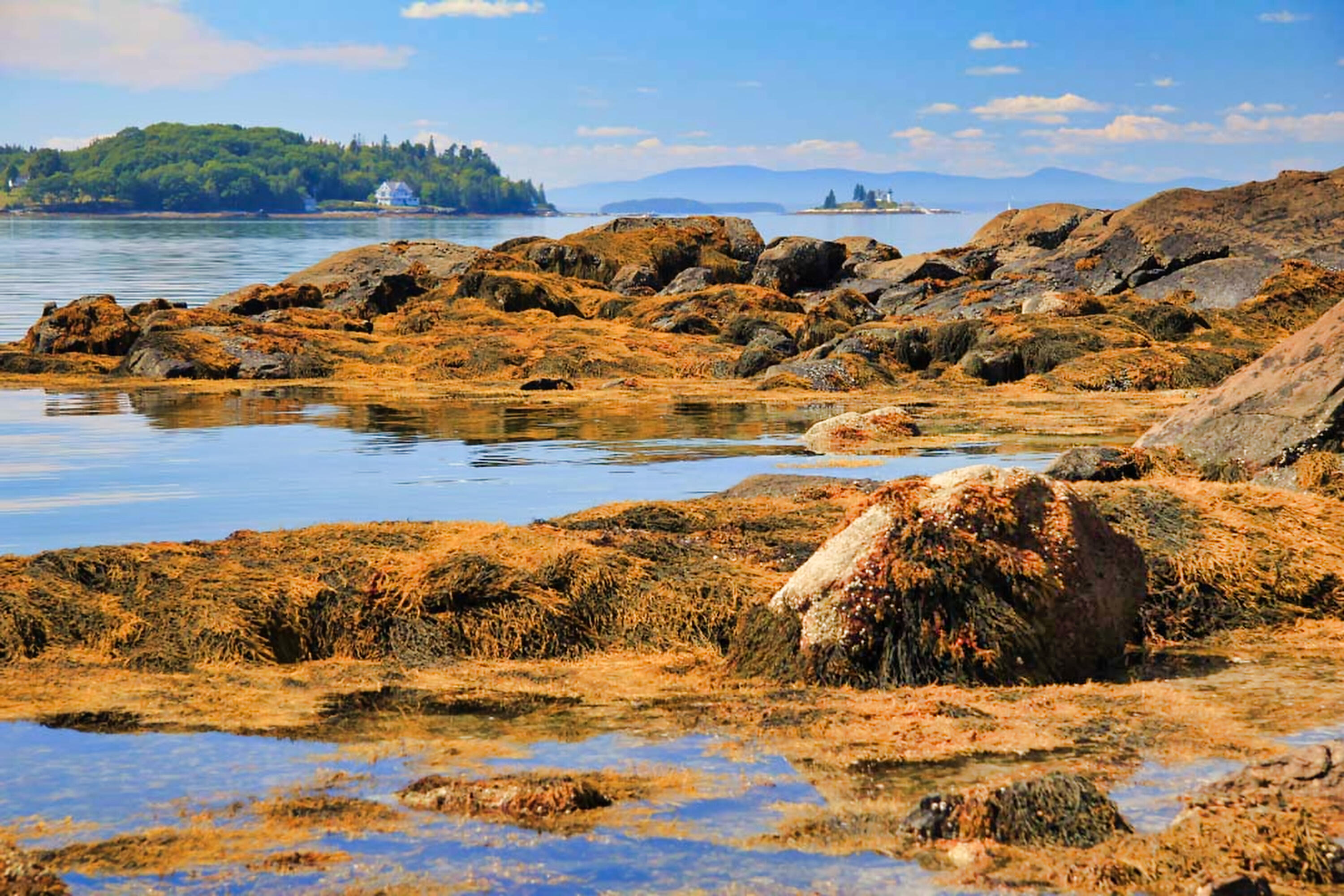 435 Herrick Road Brooksville ME 04617