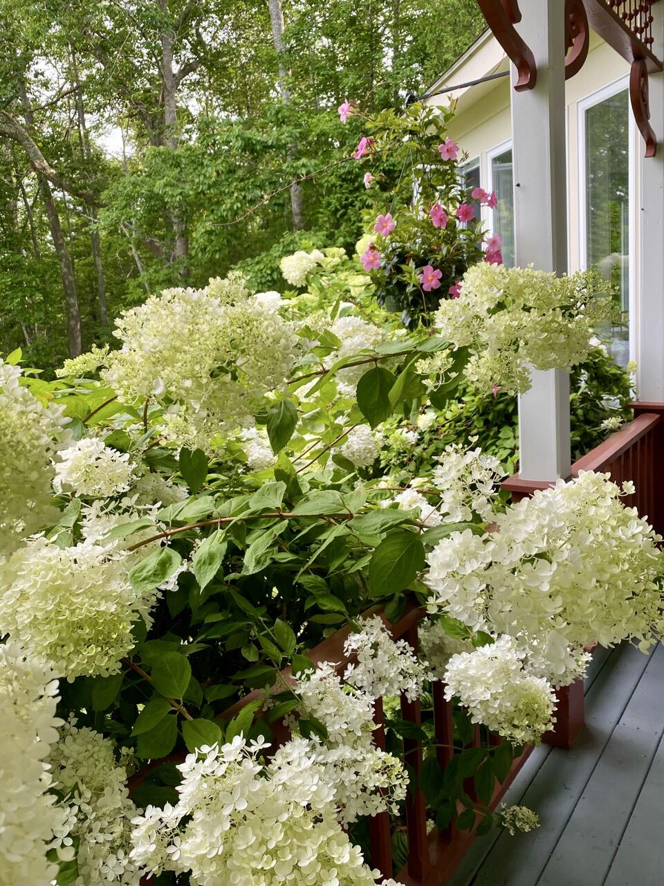 33 Sea View Drive Lincolnville ME 04849