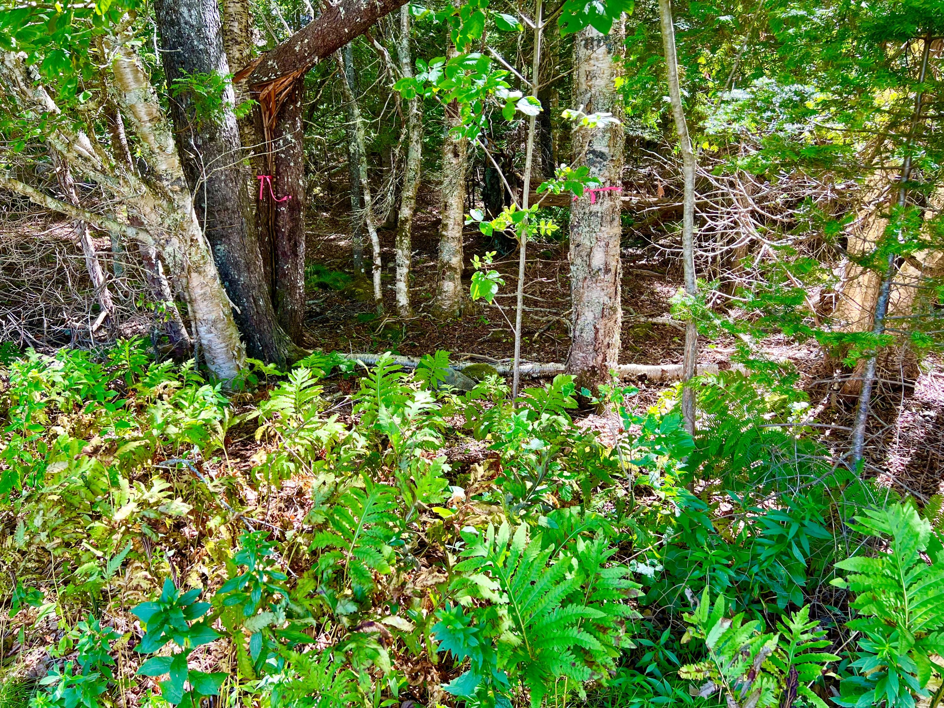 658 Tremont Road Tremont ME 04612