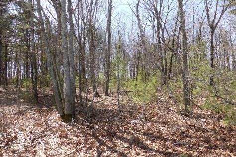 Lot 1c Main Street / Route 109 Sanford ME 04073