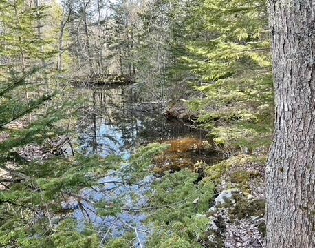 515 Falls Bridge Road Blue Hill ME 04614