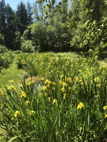 515 Falls Bridge Road Blue Hill ME 04614