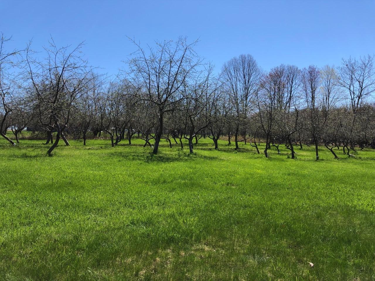 804 Pendexter Road Parsonsfield ME 04047