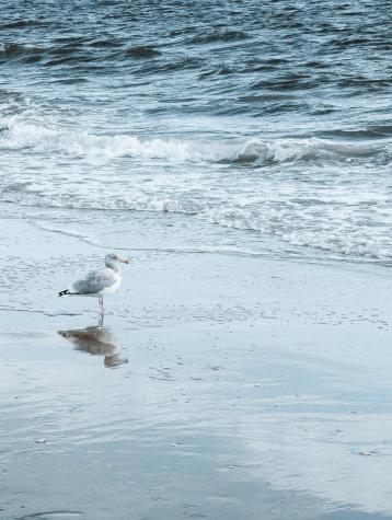 2 River Road York ME 03902