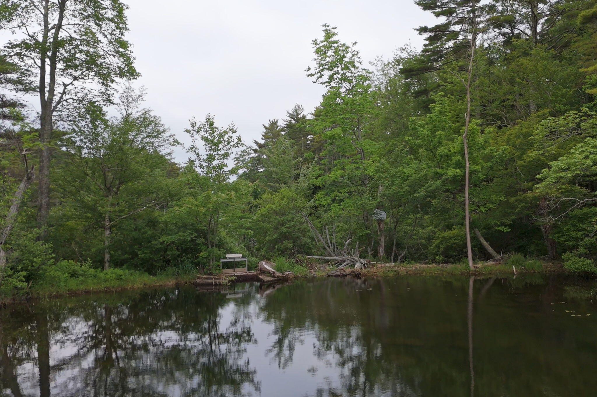 168 Payson Road Union ME 04862