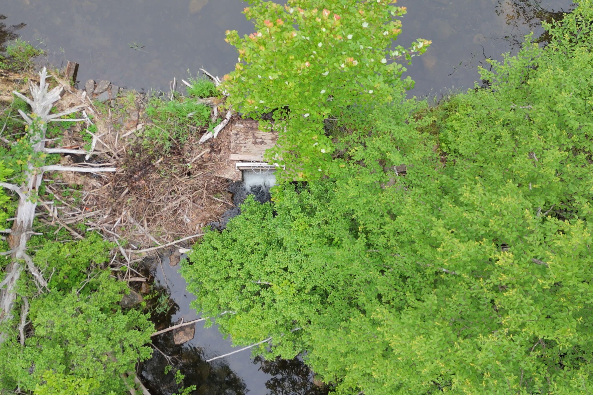 168 Payson Road Union ME 04862