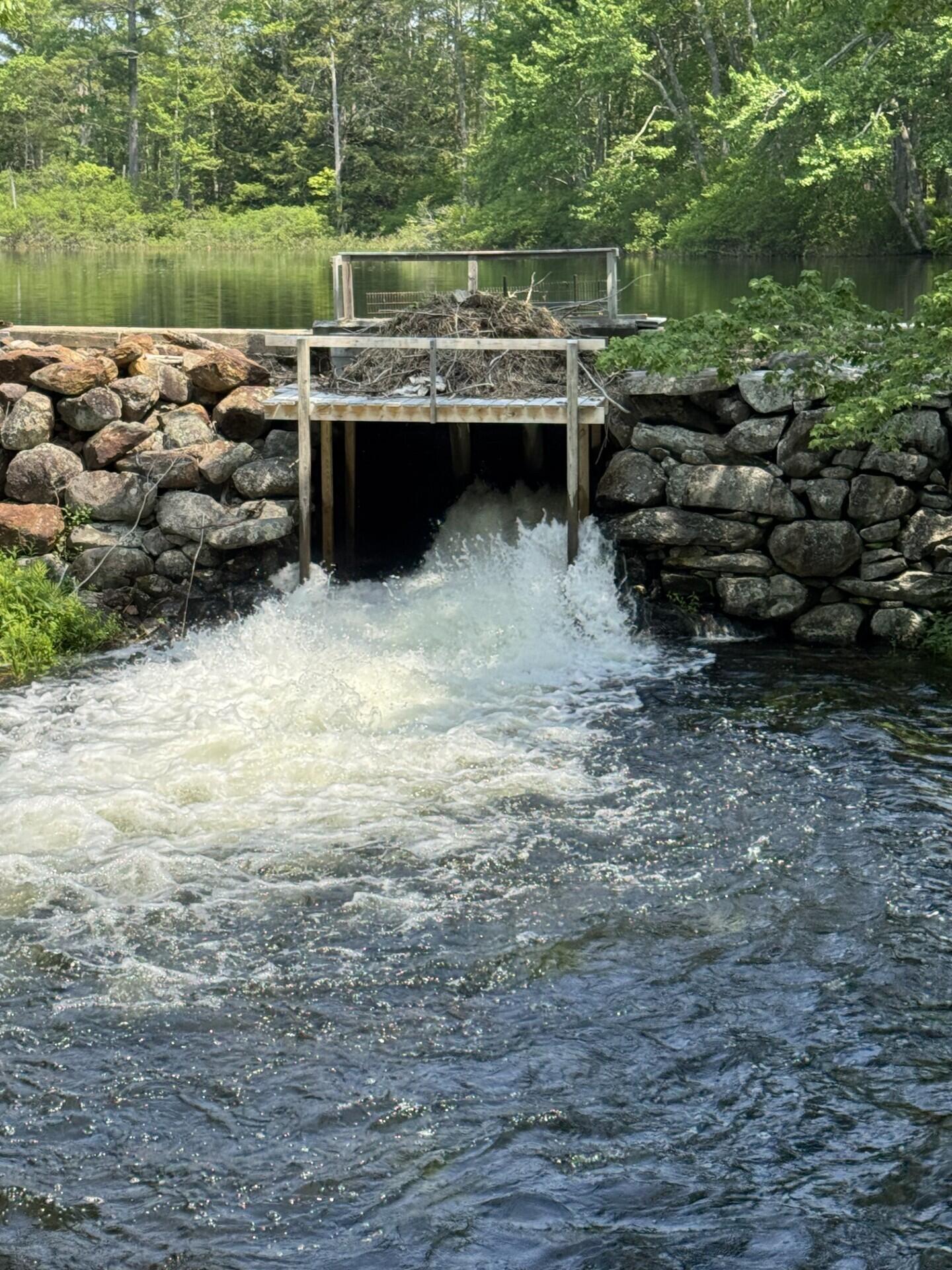 168 Payson Road Union ME 04862