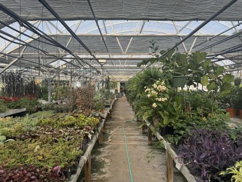 670 Alfred Street Arundel ME 04046