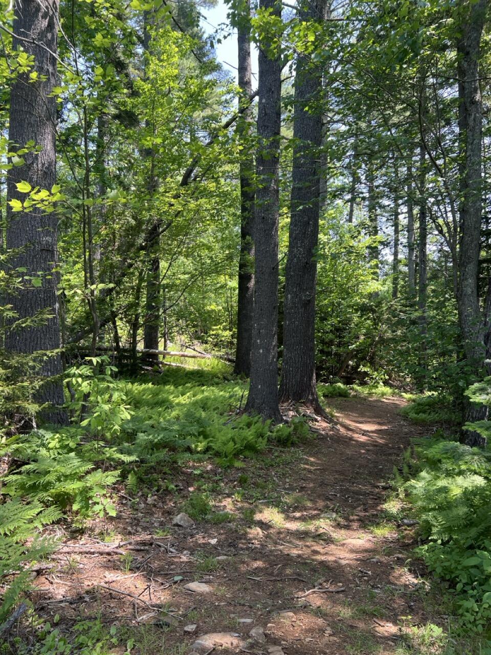 2076 Atlantic Highway Lincolnville ME 04849