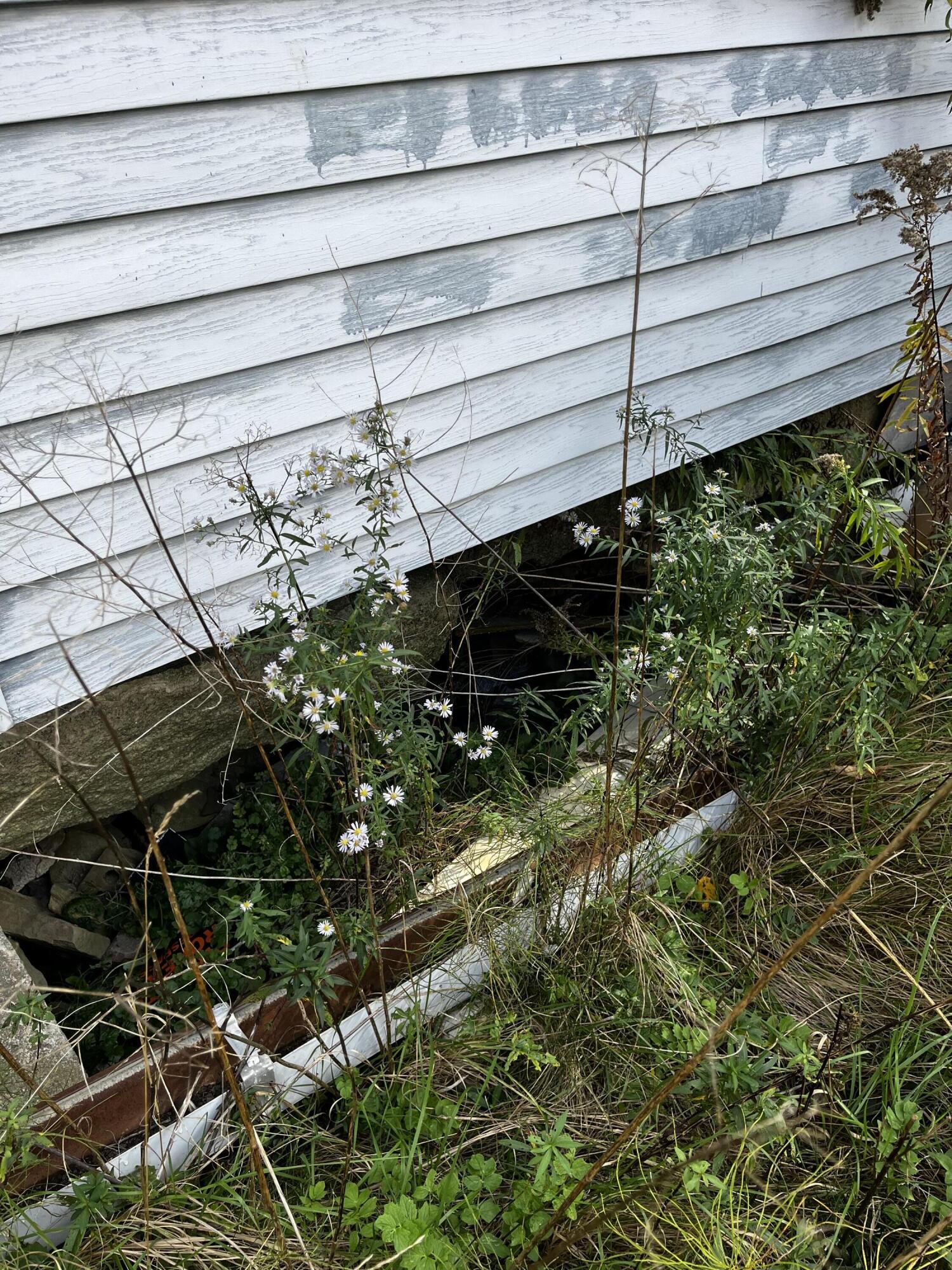 36 Acadia Highway Verona Island ME 04416