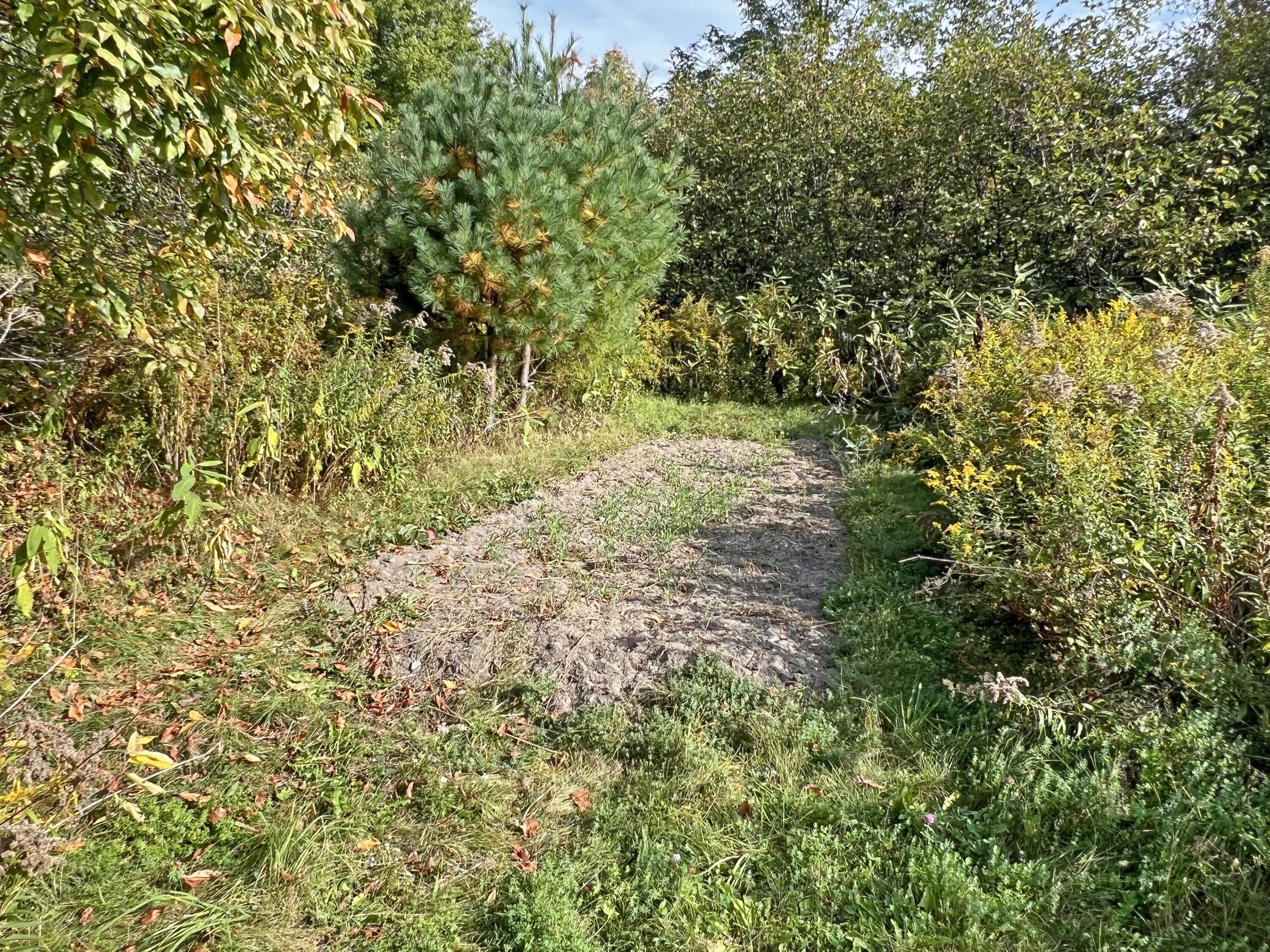 381 State Street Ellsworth ME 04605