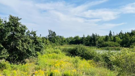 882 County Road Lubec ME 04652