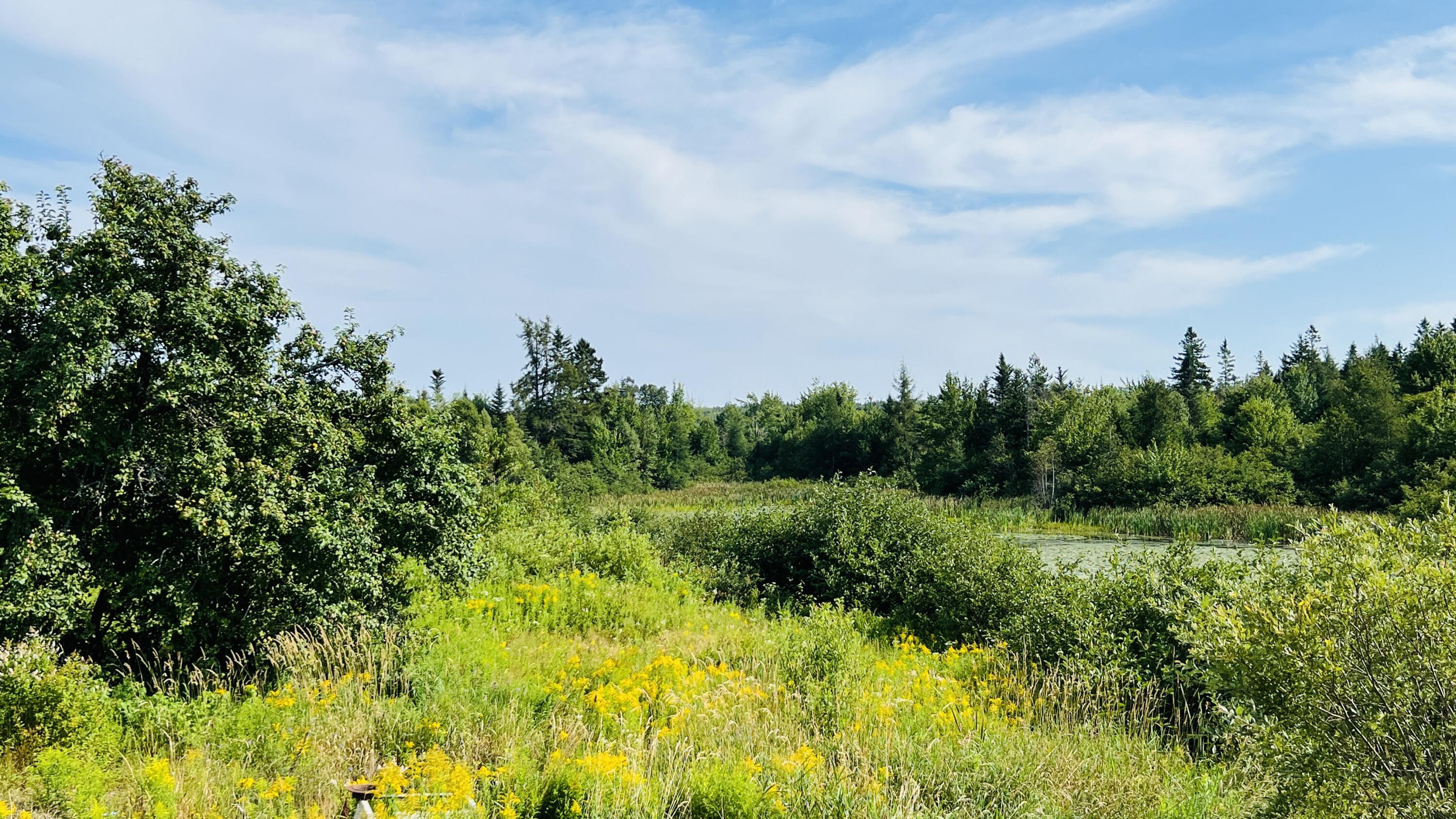 882 County Road Lubec ME 04652