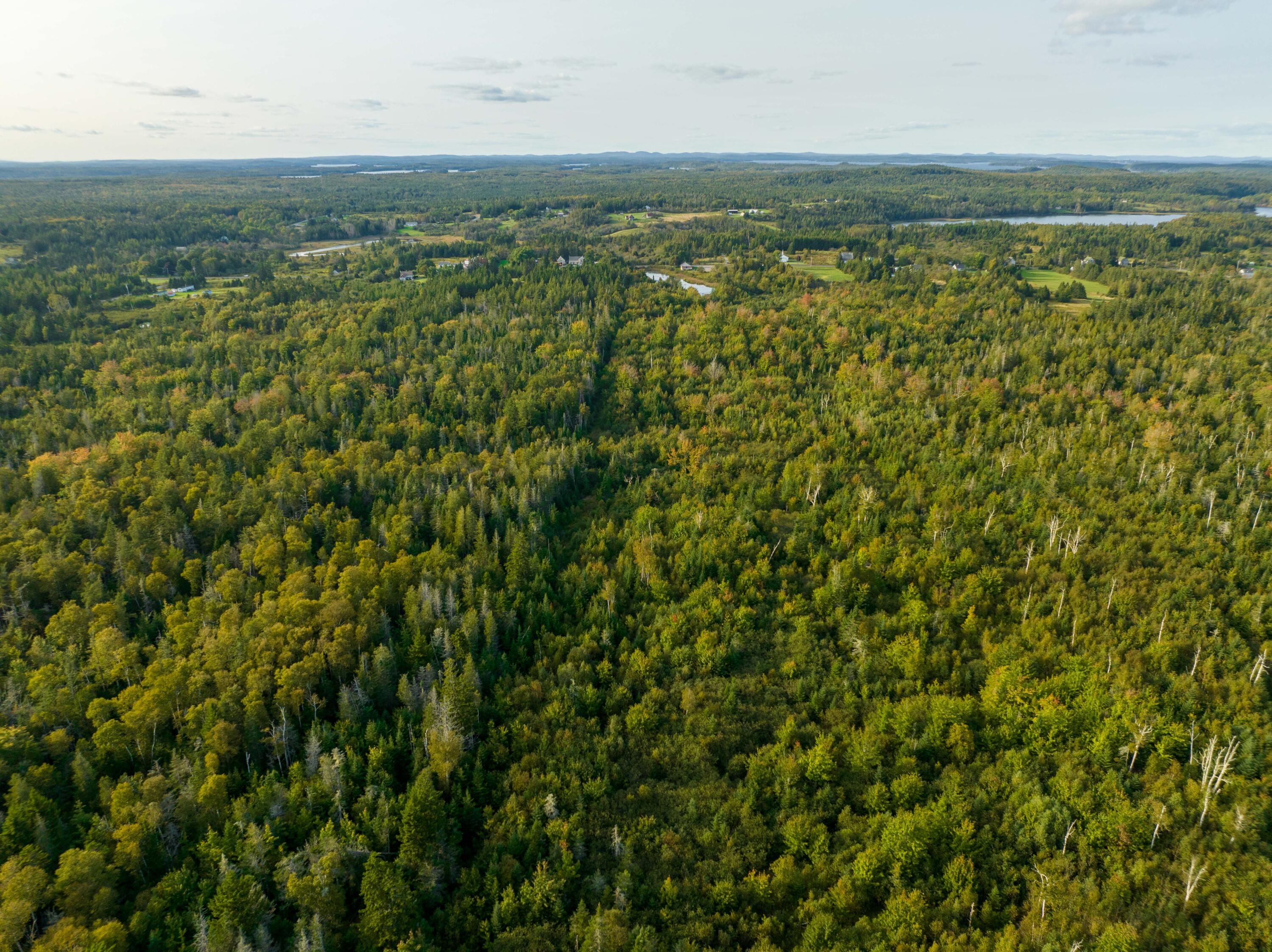 882 County Road Lubec ME 04652