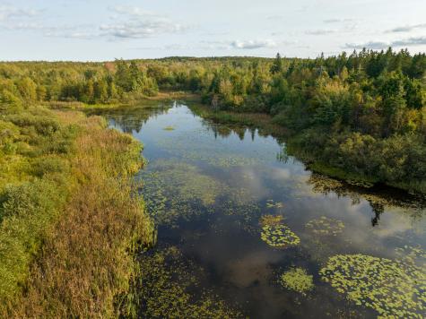 882 County Road Lubec ME 04652